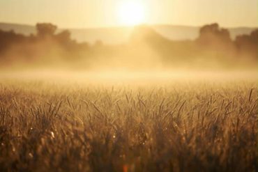 Les bienfaits de boire un verre d’eau le matin
